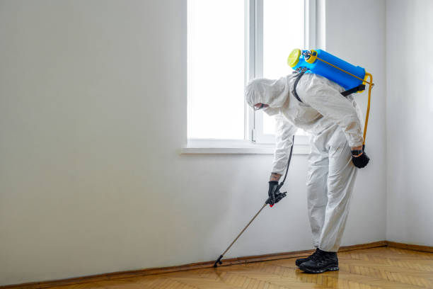 Wasp Removal Services in Great River, NY