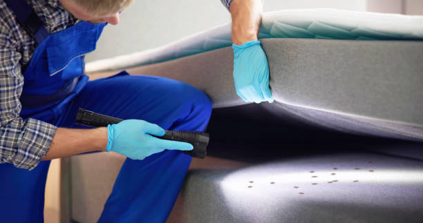 Best Rat Extermination Near Me  in Great River, NY