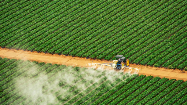 Professional Pest Control in Great River, NY
