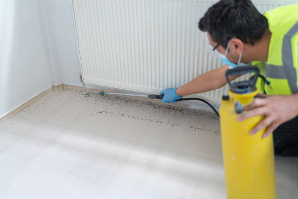Best Residential Pest Control  in Great River, NY