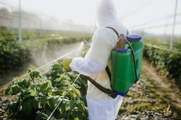 Best Pest Control Near Me  in Great River, NY